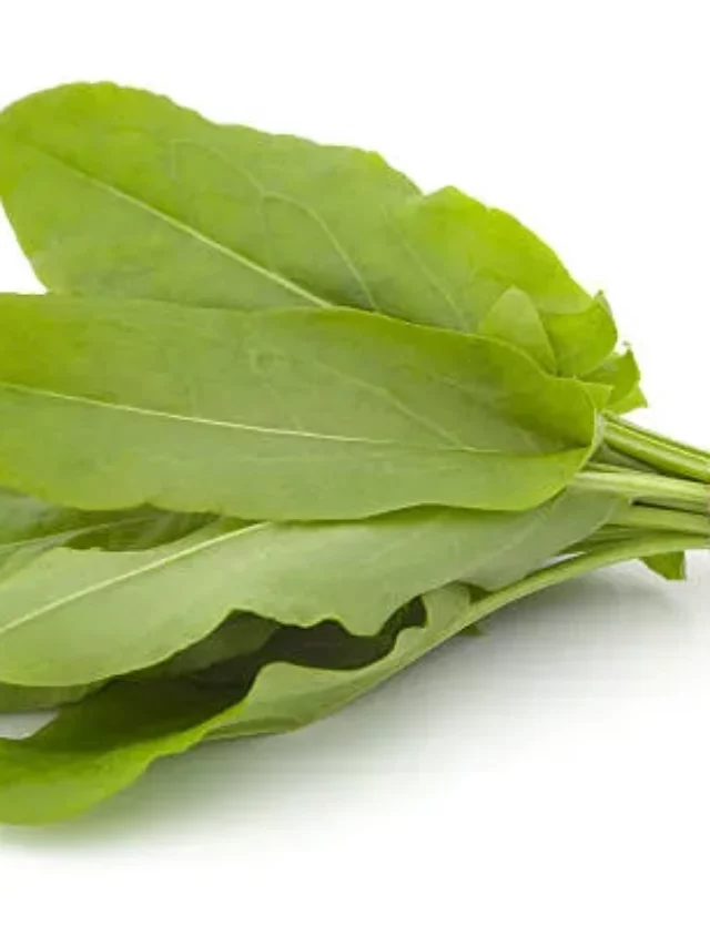 Sorrel And Its Substitutes