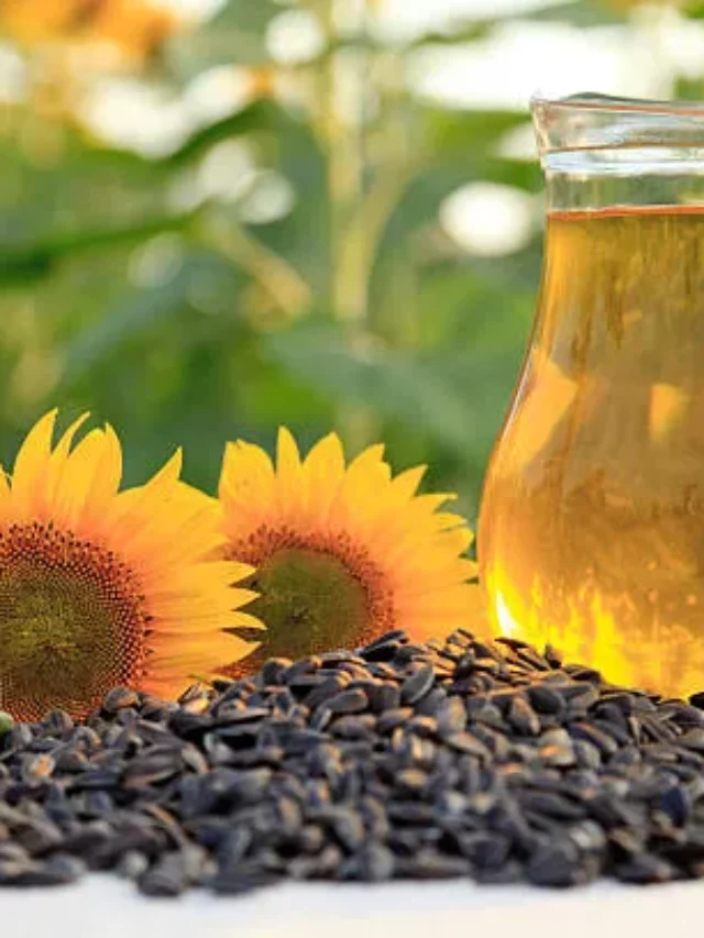 Sunflower Seeds And Its Substitutes